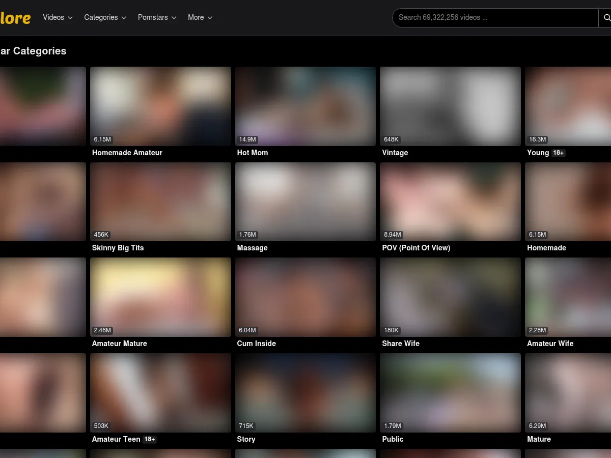 A heavily blurred, censored capture of the TubeGalore homepage — only soft shapes are visible, no explicit or readable content