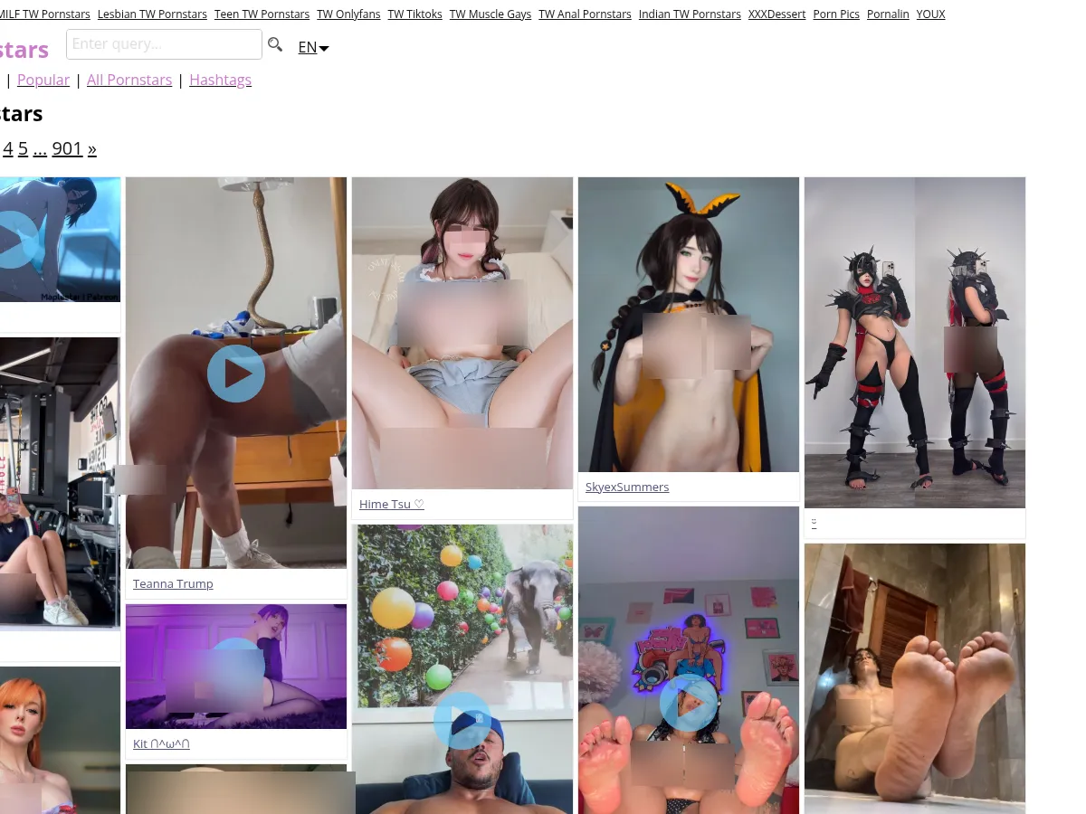 A heavily blurred, censored capture of the TW Pornstars homepage — only soft shapes are visible, no explicit or readable content