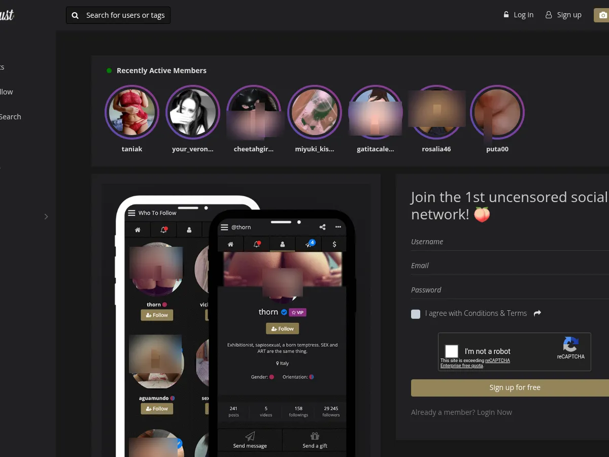 A heavily blurred, censored capture of the Uplust homepage โ only soft shapes are visible, no explicit or readable content
