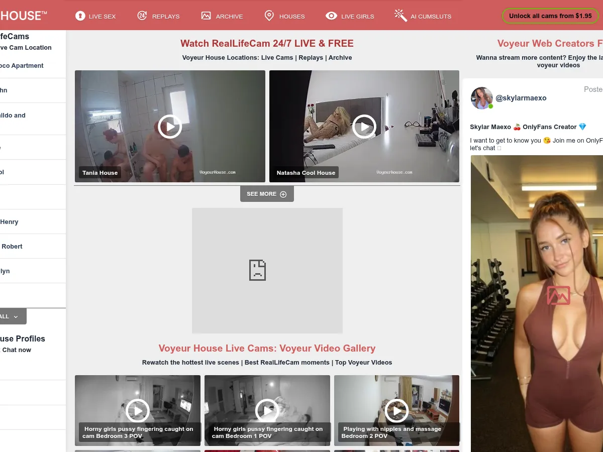 A heavily blurred, censored capture of the Voyeur House homepage — only soft shapes are visible, no explicit or readable content