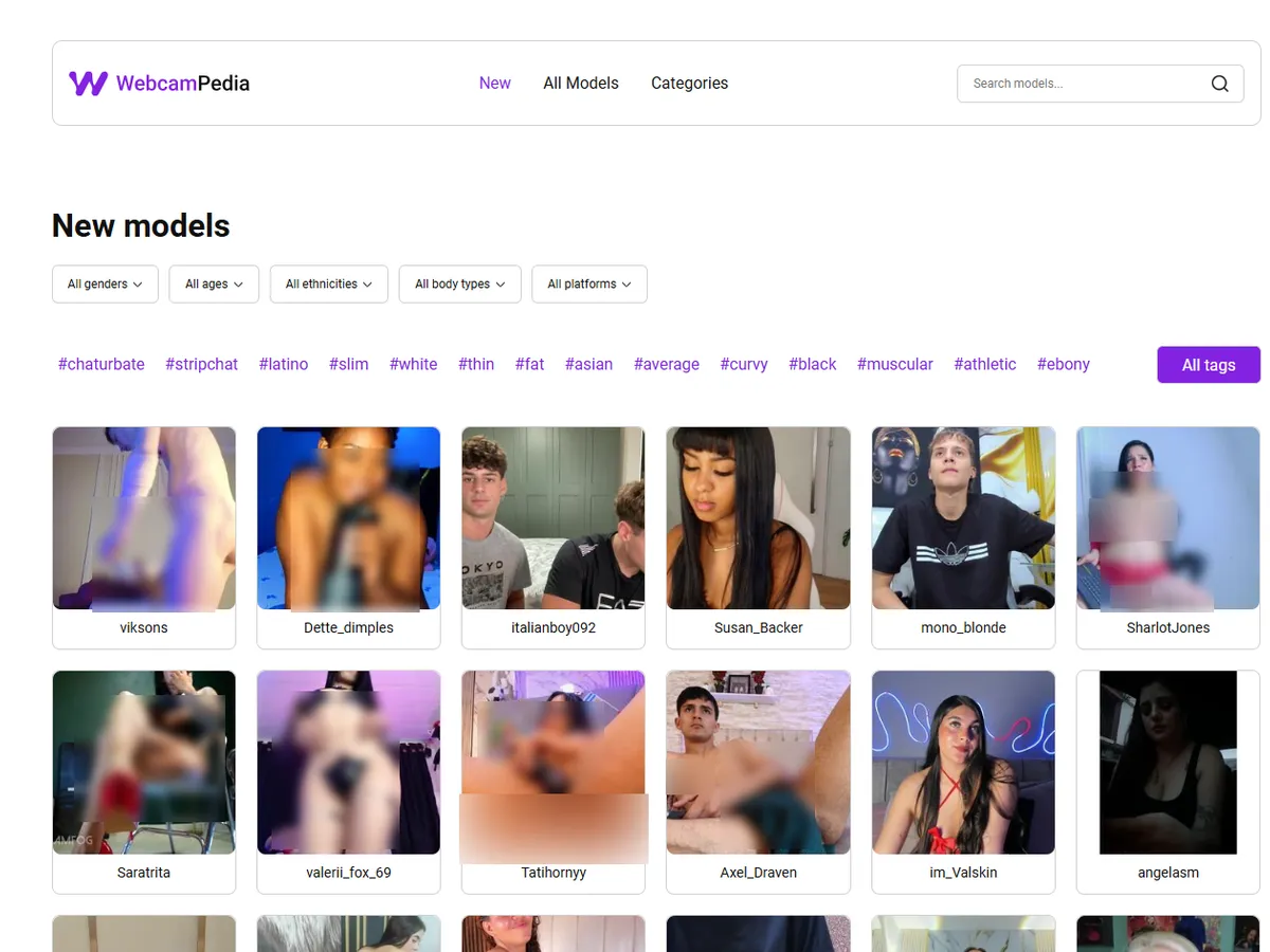 A heavily blurred, censored capture of the Webcampedia homepage — only soft shapes are visible, no explicit or readable content