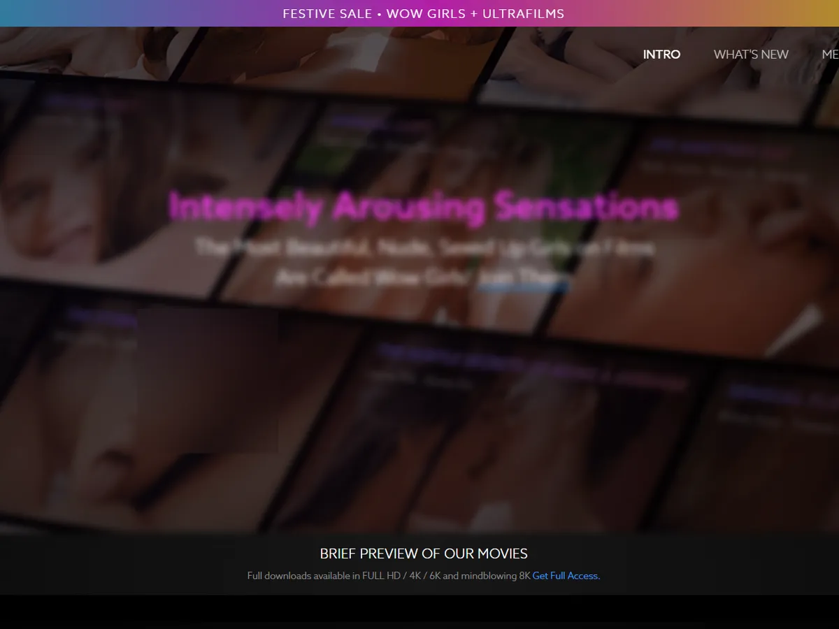 A heavily blurred, censored capture of the WowGirls homepage โ only soft shapes are visible, no explicit or readable content